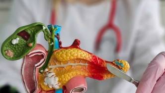 Modell eines inneren Organs mit Händen in Handschuhen und Skalpell.