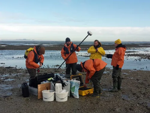 People with equipment in the Wadden Sea.