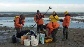 People with equipment in the Wadden Sea.