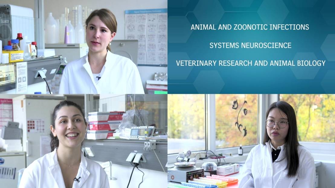 phd programs in veterinary medicine