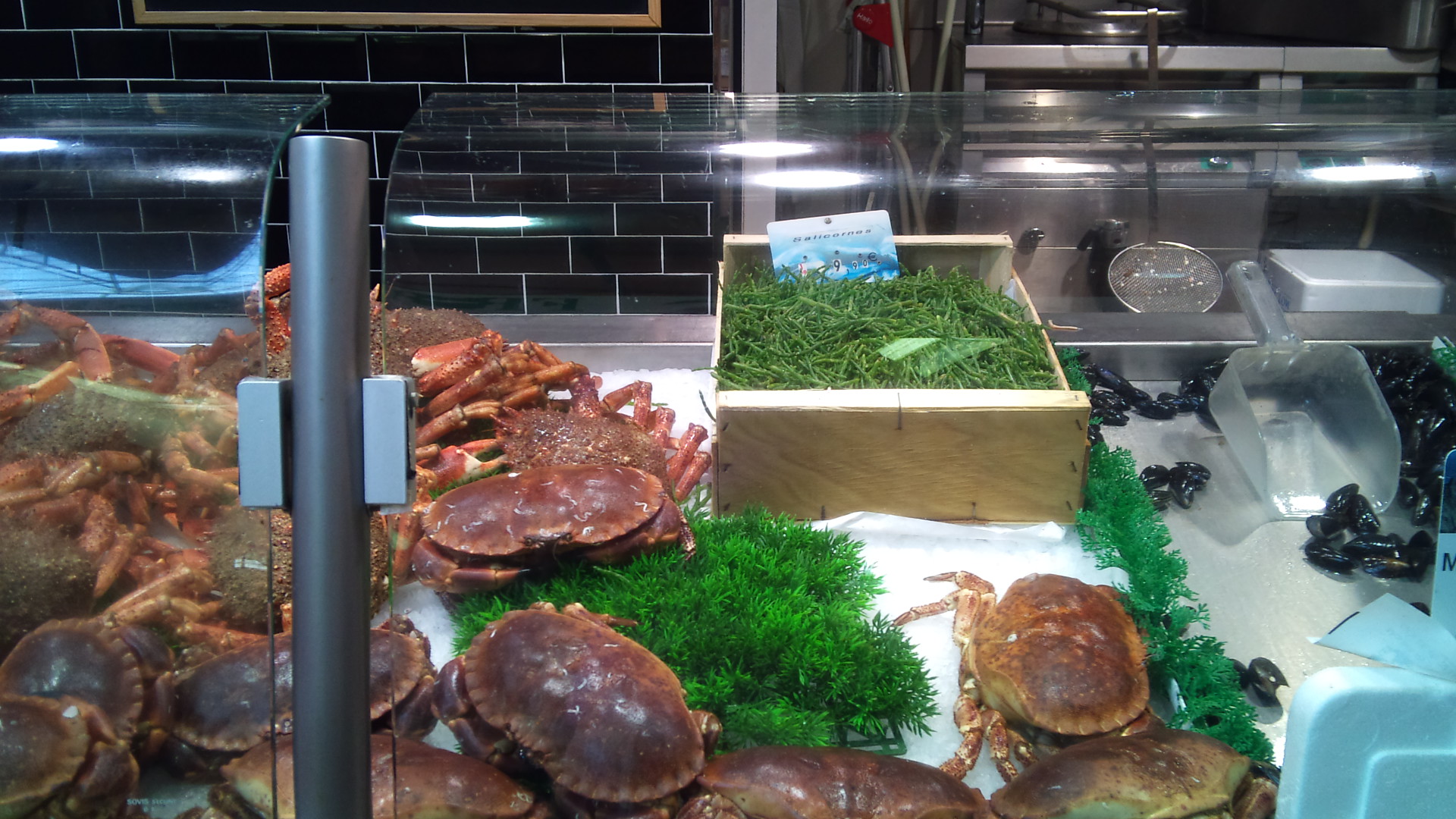 Delikatesse Meeresspargel